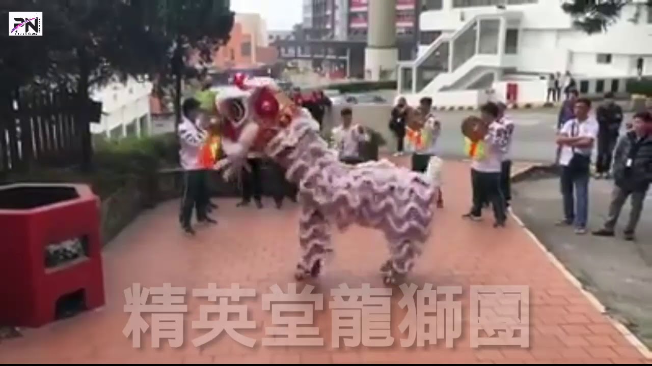 [2018] TINH ANH ĐƯỜNG || TRƯỚC GIỜ RA TRẬN || GENTING WORLD LION CHAMPIONSHIP || 精英堂