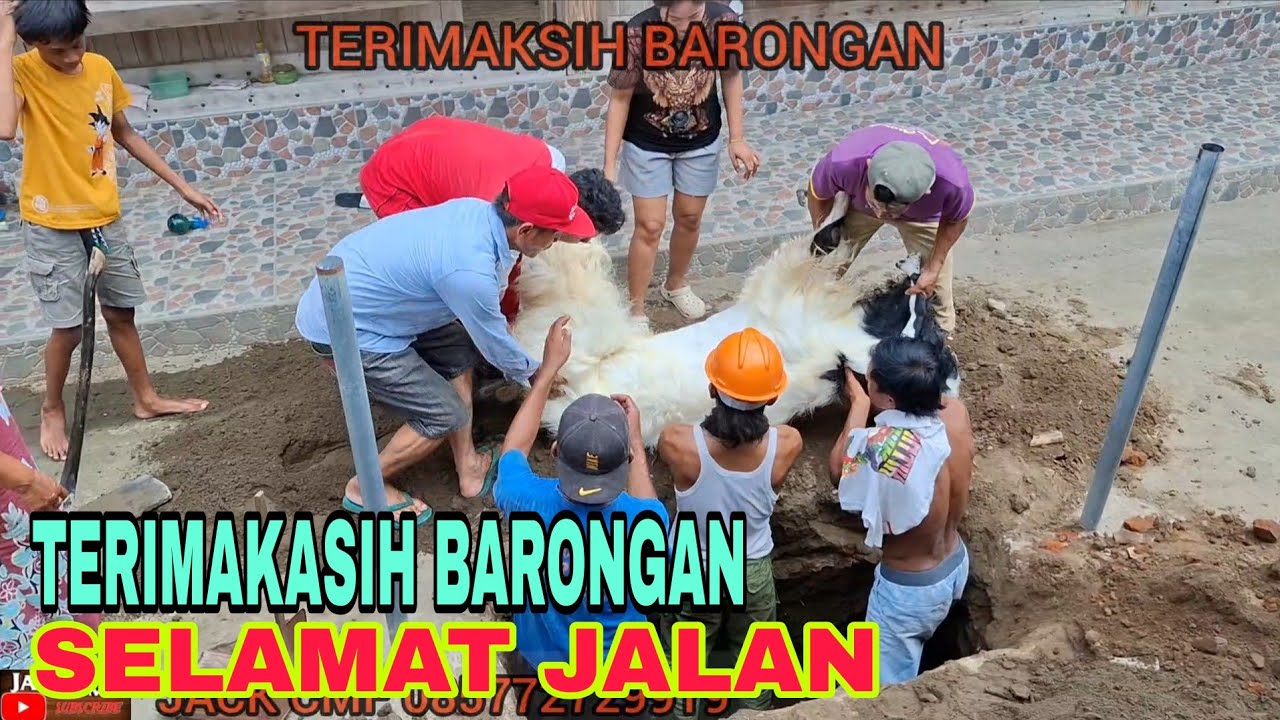 TERIMAKASIH BARONGAN-SELAMAT JALAN.TUTUP USIA DI 12 TAHUN