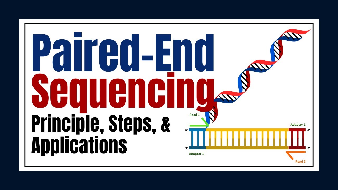 Paired-End Sequencing Explained: Principle, Steps, Applications & Comparison with Single-Read