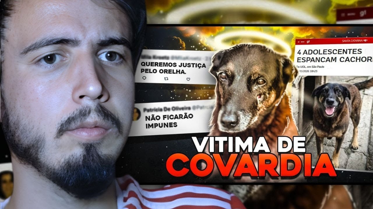 O CASO DO CÃO ORELHA | React Planeta Novo