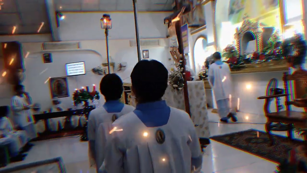 Halina Jesus