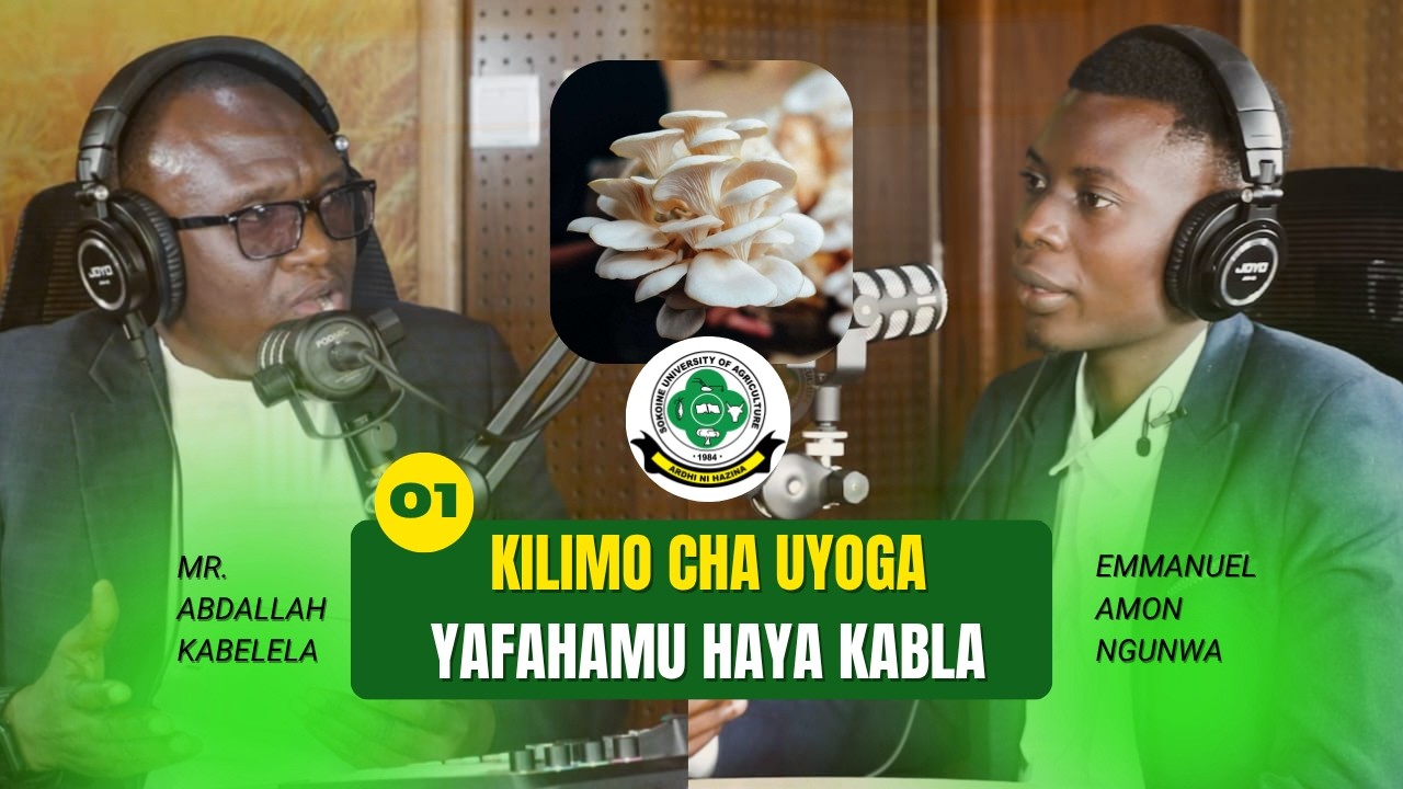 Kilimo Cha Uyoga: Kila Unachohitaji Kujua Kuhusu Ulimaji wa Uyoga Kibiashara na Faida Zake.