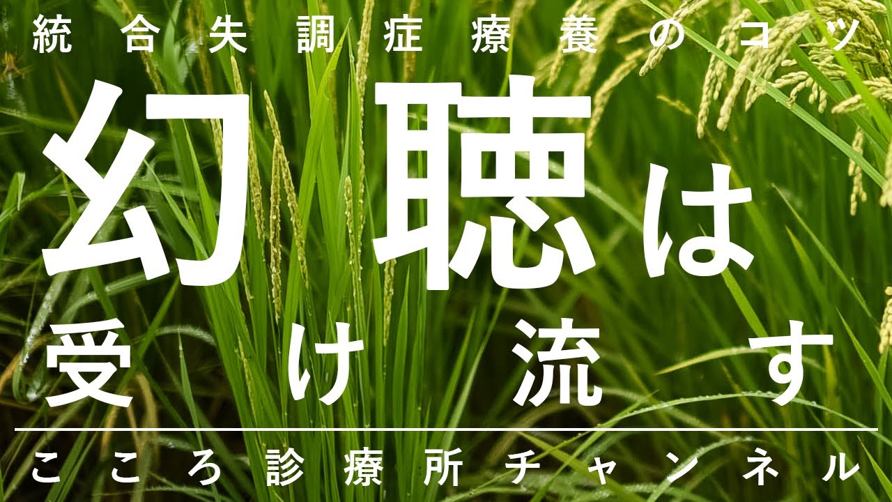 【統合失調症療養のコツ】幻聴は受け流す【精神科医が8分で説明】