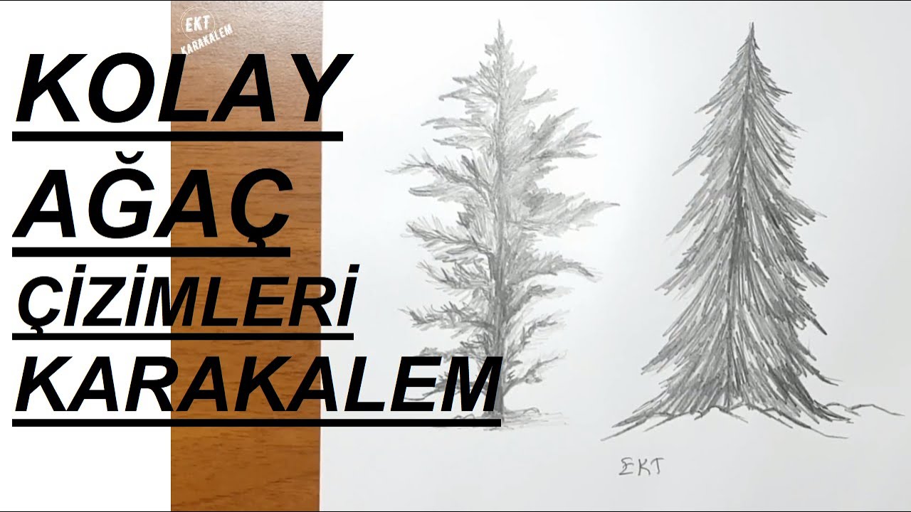 EKT - Karakalem Basit ve Kolay Ağa&ccedil; &Ccedil;izimi - 1.&Ccedil;izim