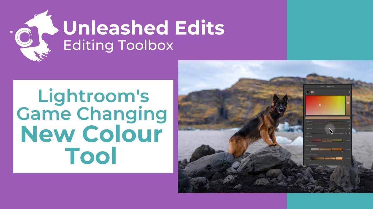 Lightroom's Game Changing New Colour Tool - Dog Photography Editing