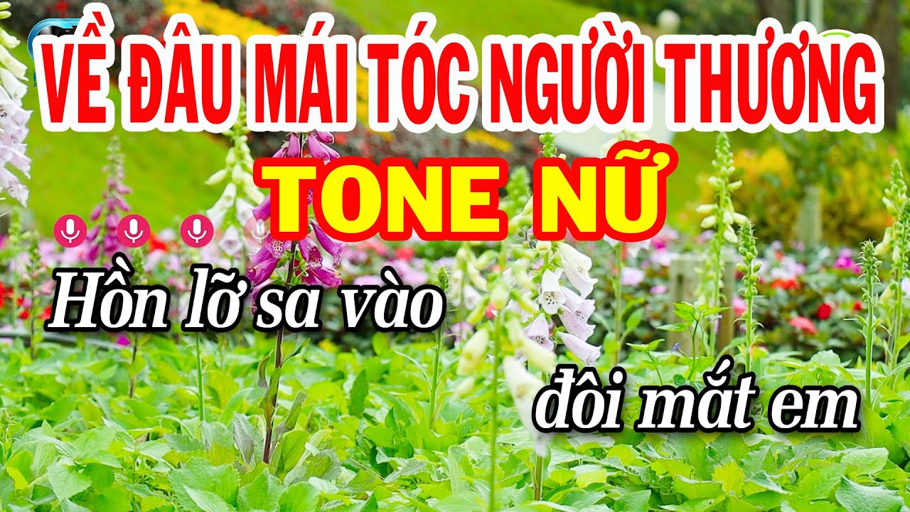Karaoke Về Đâu Mái Tóc Người Thương Tone Nữ ( Bm ) Nhạc Sống Dễ Ca | Xóm Lộ