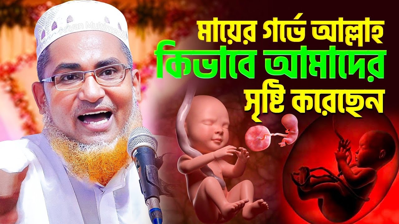 মায়ের গর্ভে আল্লাহ কিভাবে আমাদের সৃষ্টি করে | Abdullah Hil Maruf New Waz | Abdullahil Maruf Waz