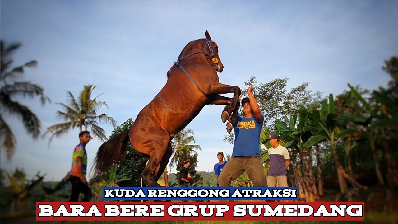 Kuda Renggong bara bere