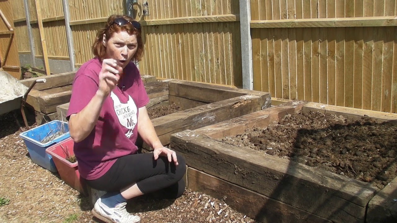 My new raised beds - Claire's Allotment   Part 413