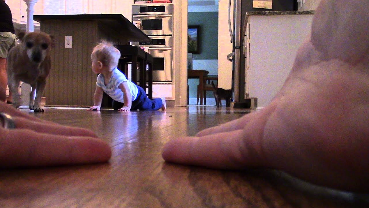 Eli Garner - 09/05/2013