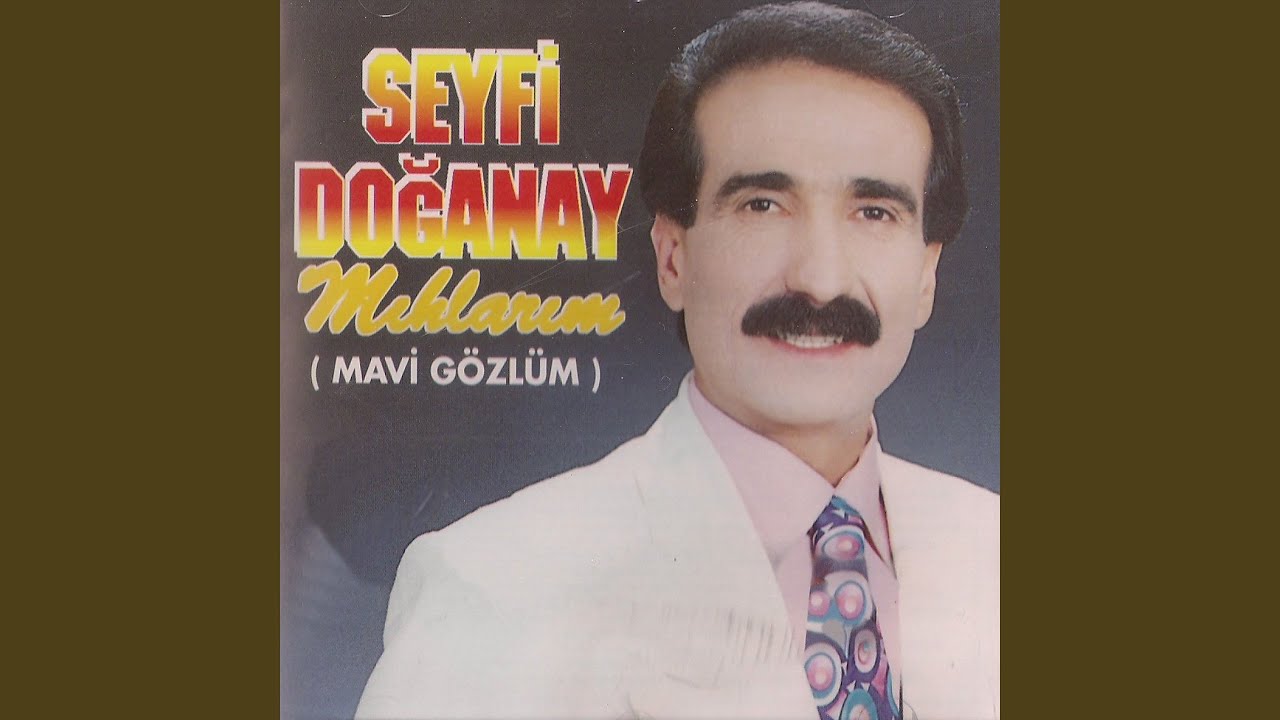 Nankör Kedi