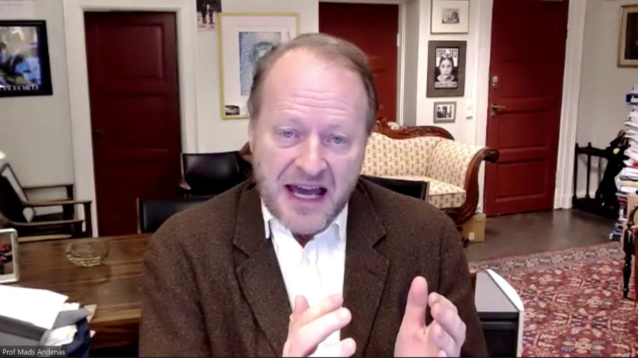 Mads Andenas on International law arguments in the Assange Case