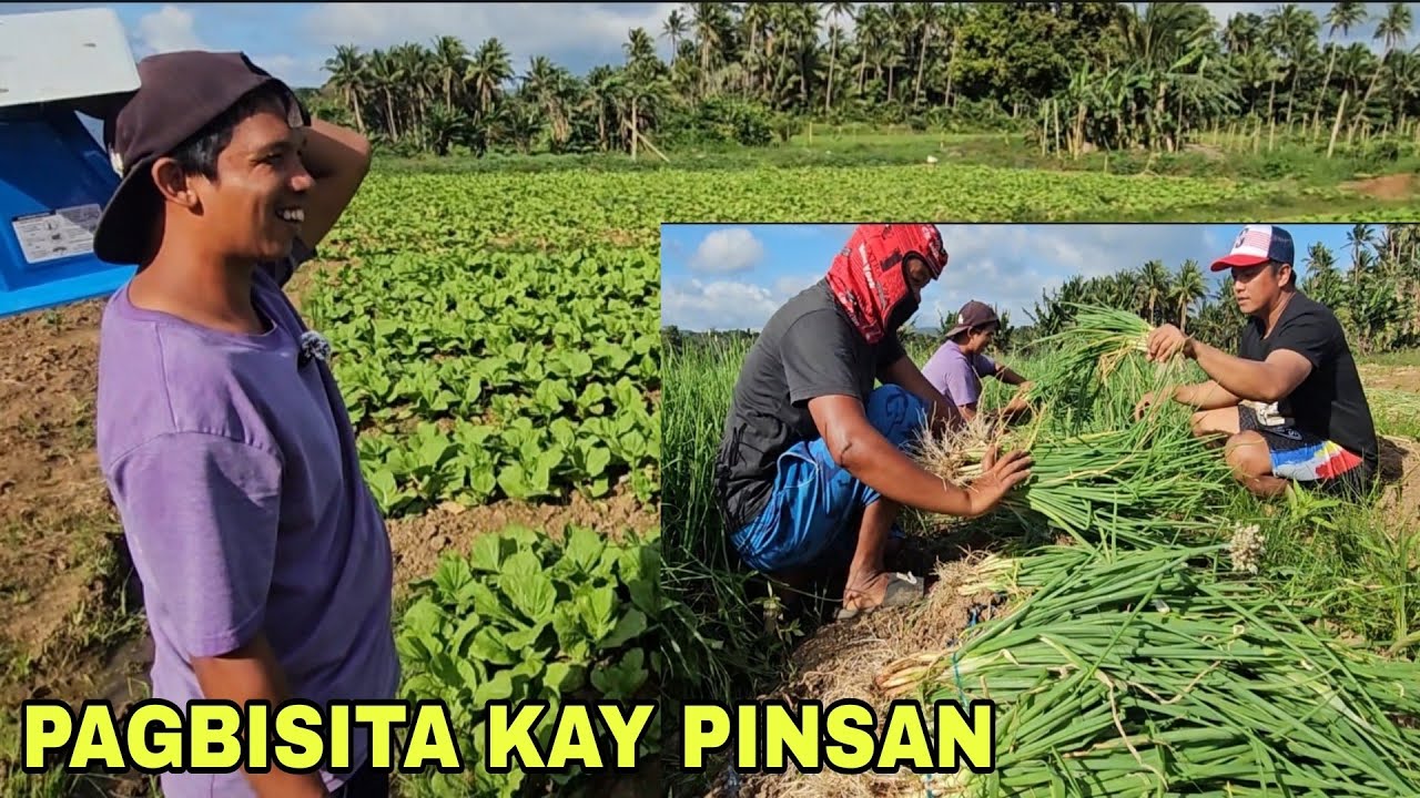 Pagbisita kay Pinsan Pagbili ng mga sibuyas Pananim sa Paanan ng mount banahaw