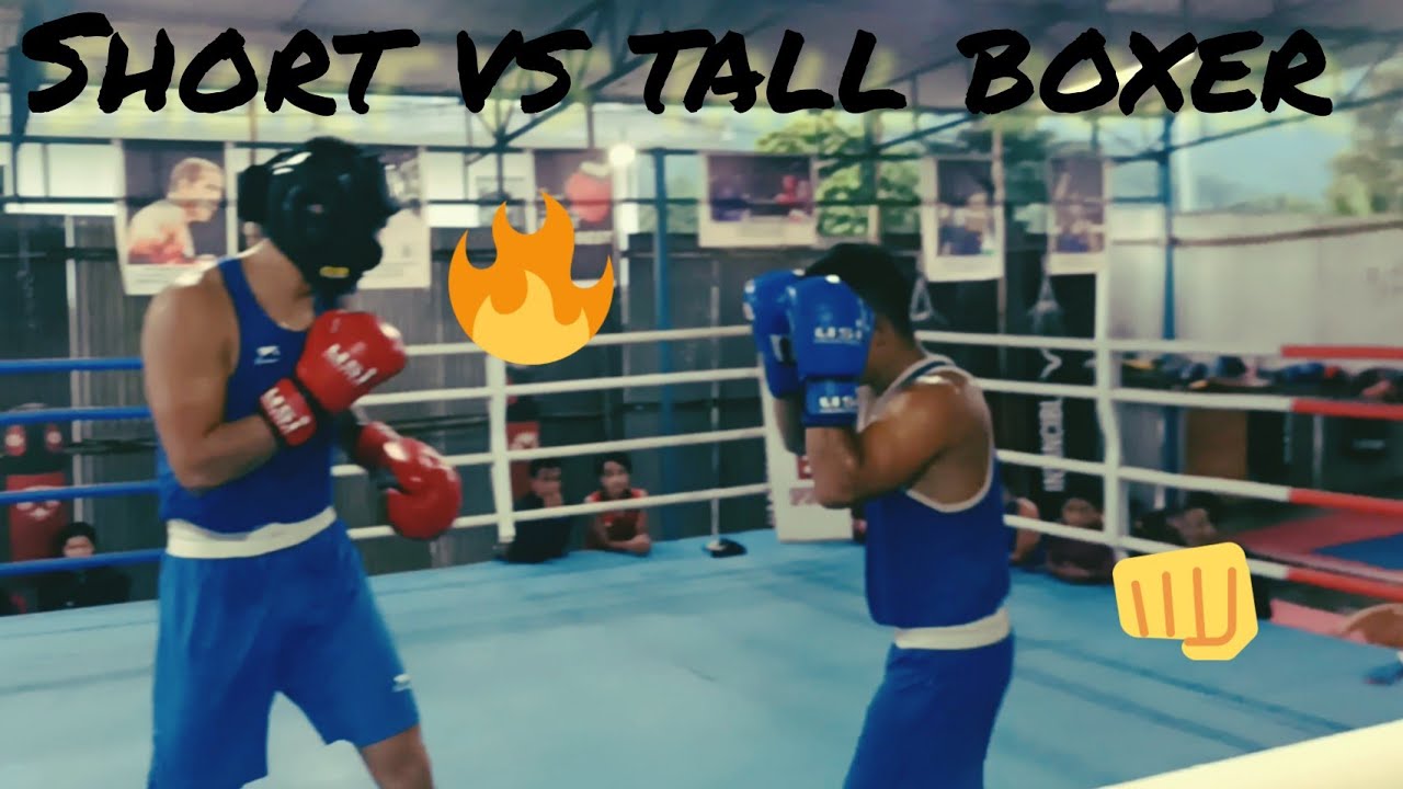Short vs tall boxer.
