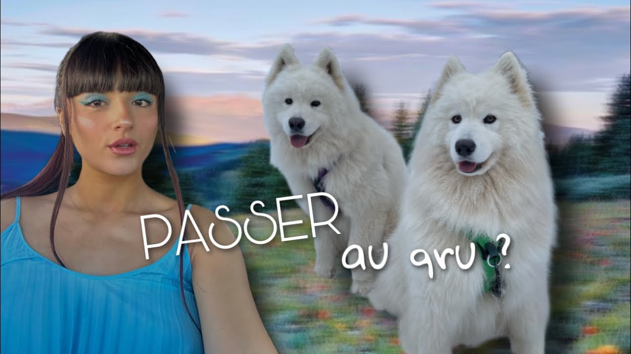 Je nourris mes chiens au QRU