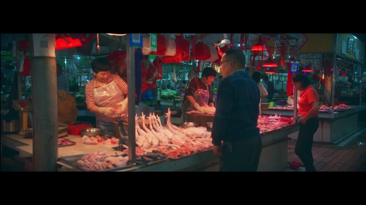 Greatjoy 50mm 1.8x Anamorphic x Lumix S5IIX cinematic footage test