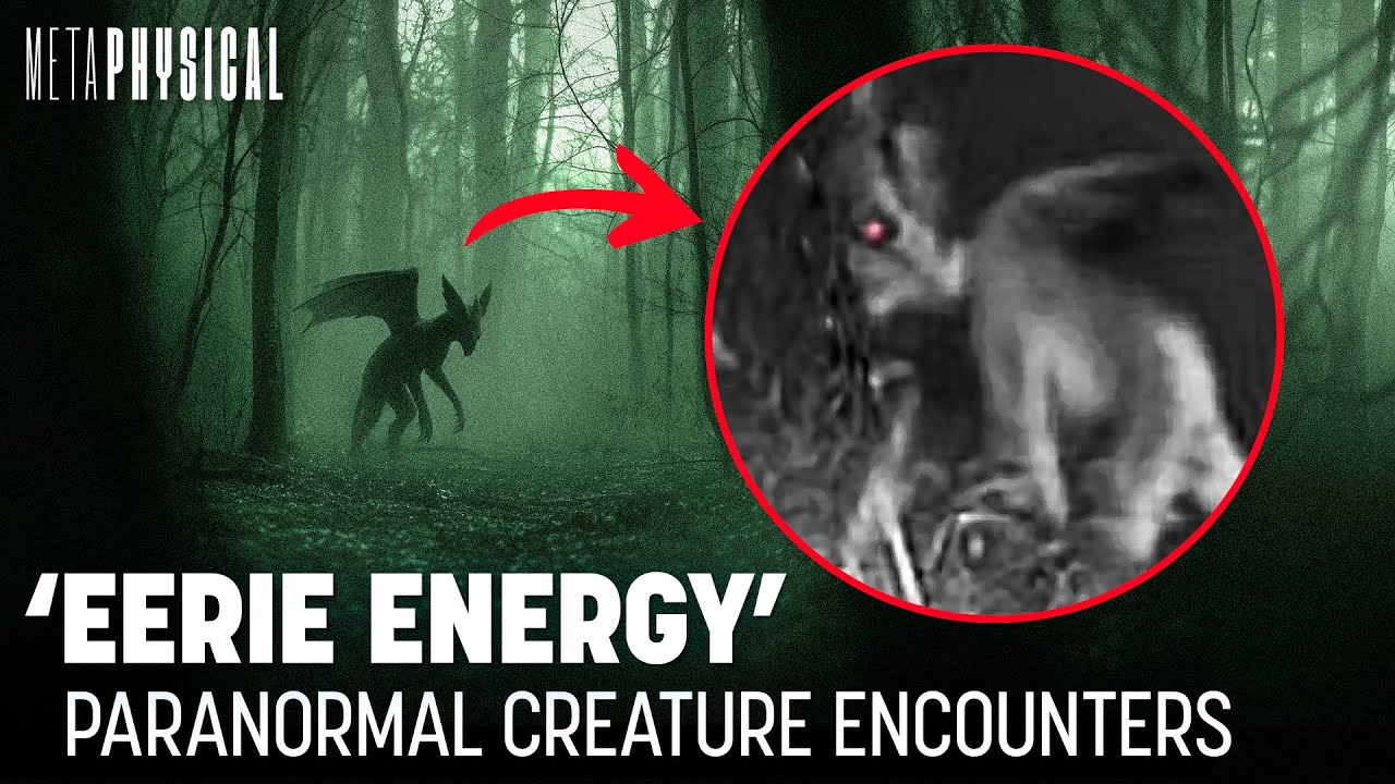 Paranormal Encounters in the Pine Barrens
