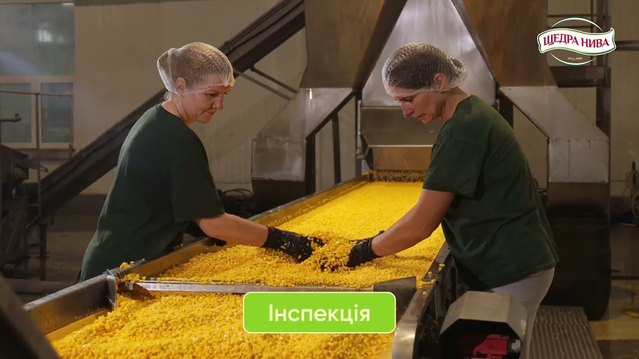 Виробництво консервованої кукурудзи ТОВ ВКП 