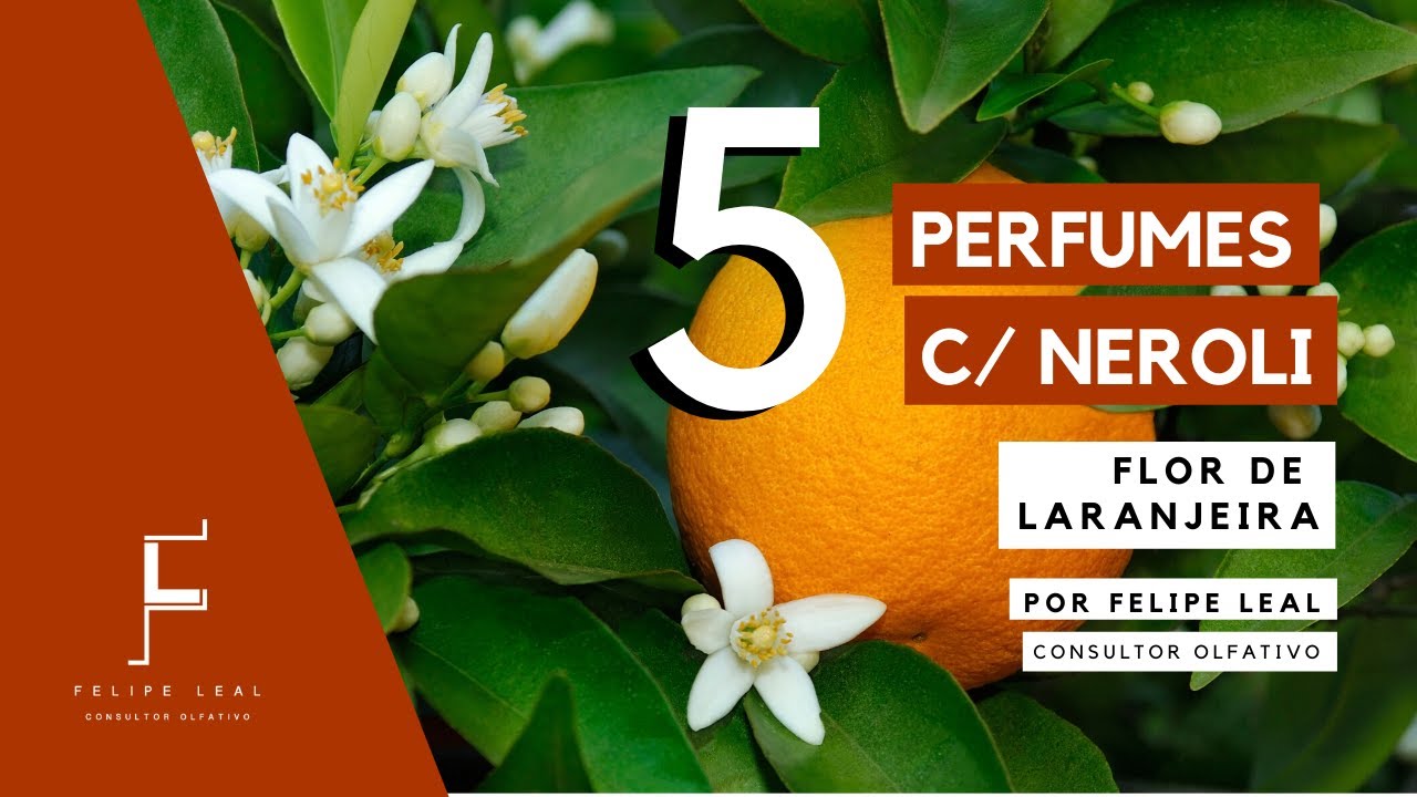 5 PERFUMES COM NEROLI PARA A PRIMAVERA / É DIFERENTE DA FLOR DE LARANJEIRA?