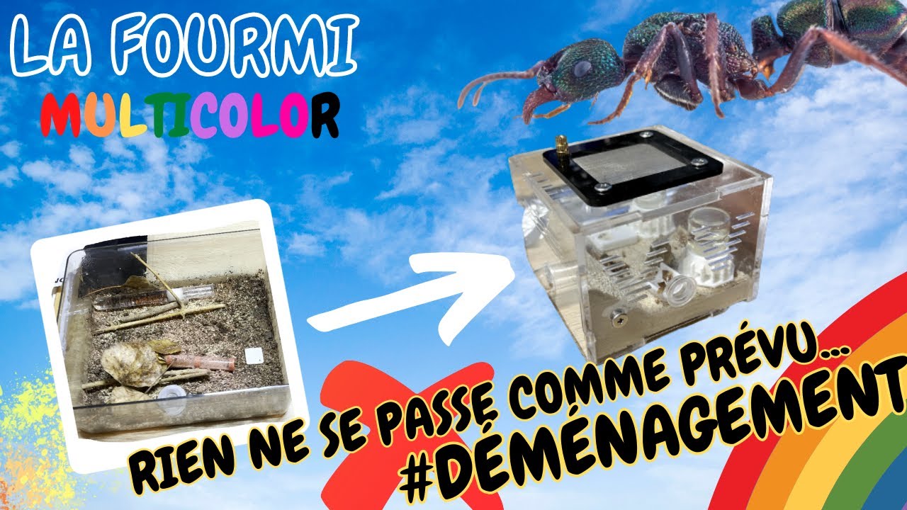 DÉMÉNAGEMENT CATASTROPHIQUE 😨 