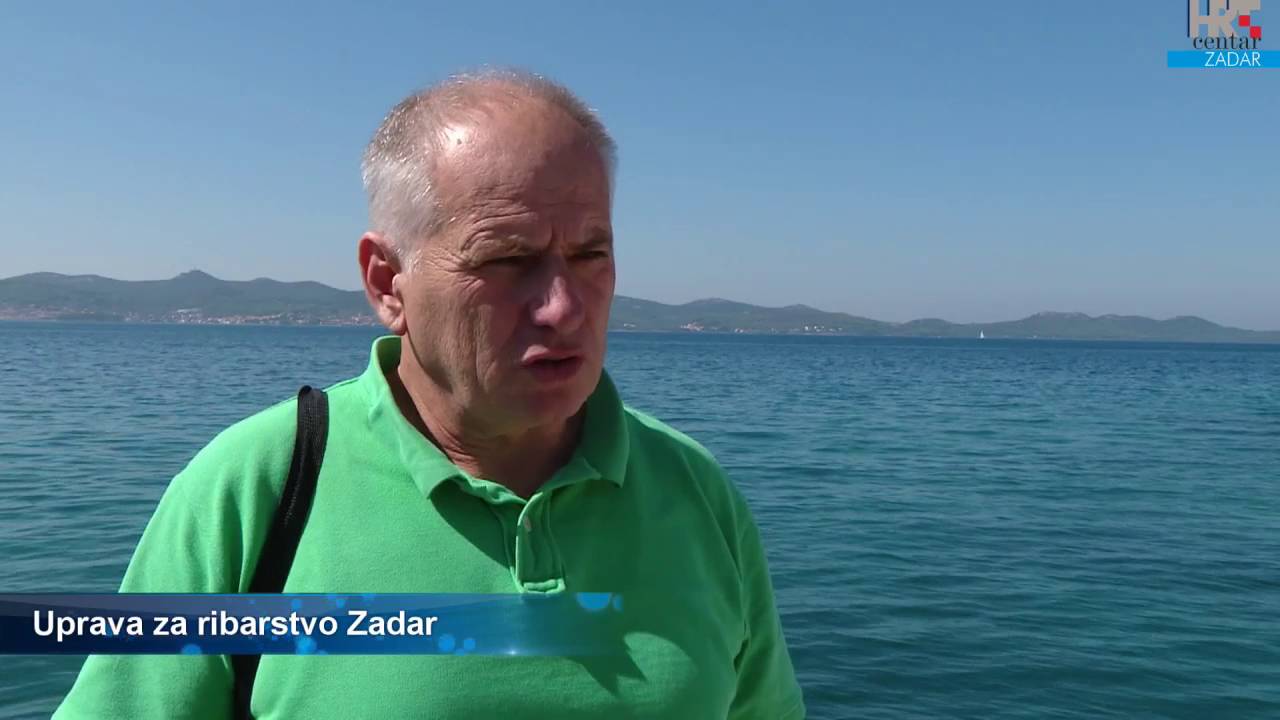 Nau&scaron;nice o dtabinje
