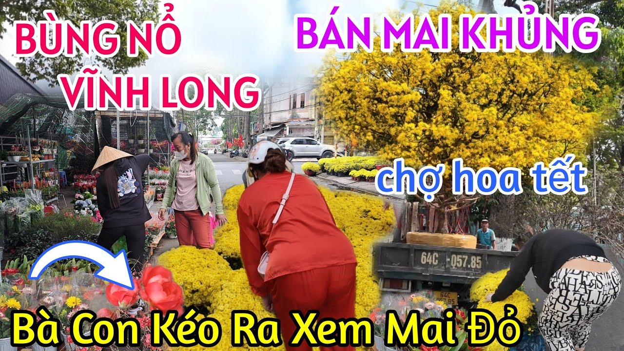 TƯNG BỪNG ĐÓN TẾT CHỢ HOA XUÂN VĨNH LONG 2026 CHÍNH THỨC MỞ BÁN - LẦN ĐẦU TIÊN XUẤT HIỆN 