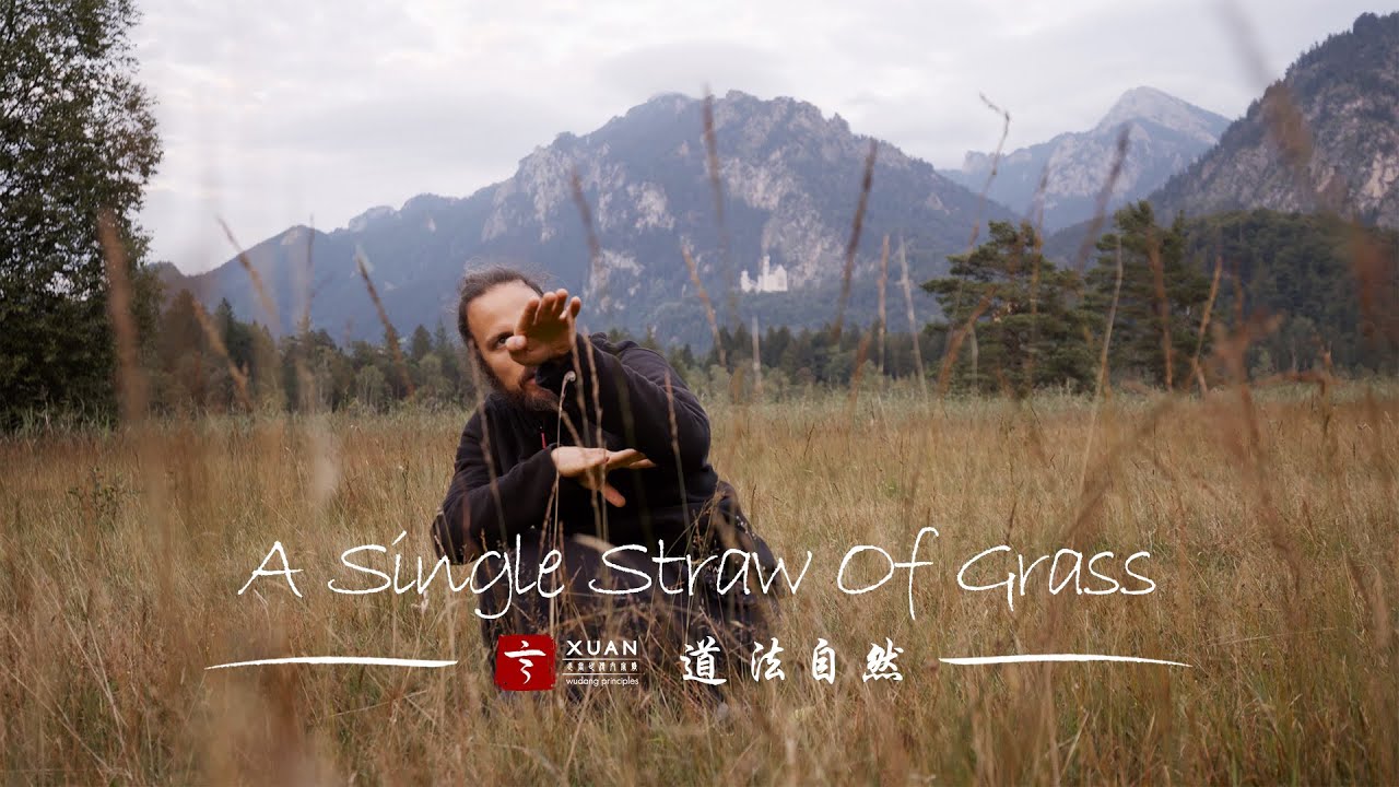 A Single Straw Of Grass