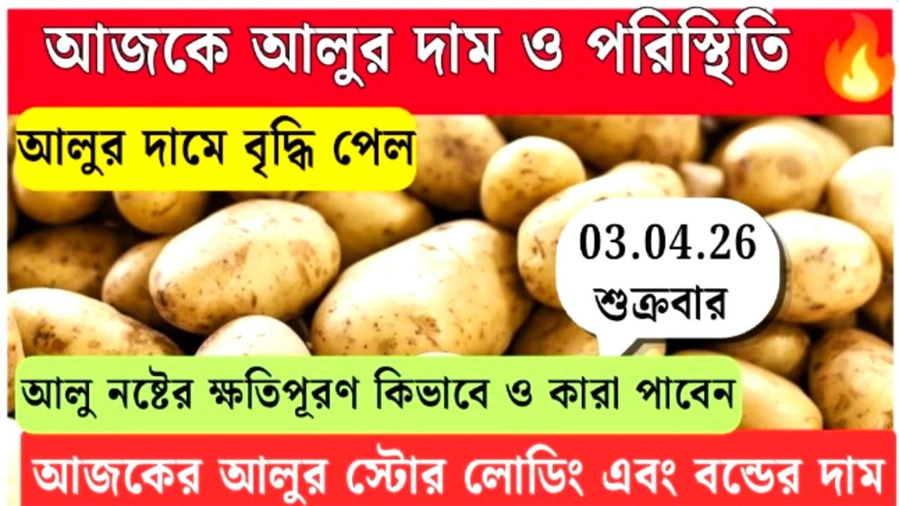 আজকে আলুর দাম🔥চাষির দাম এবং বন্ডের বাজার/আলু নষ্টের ক্ষতিপূরণ কারা ও কিভাবে পাবেন WBpotato 