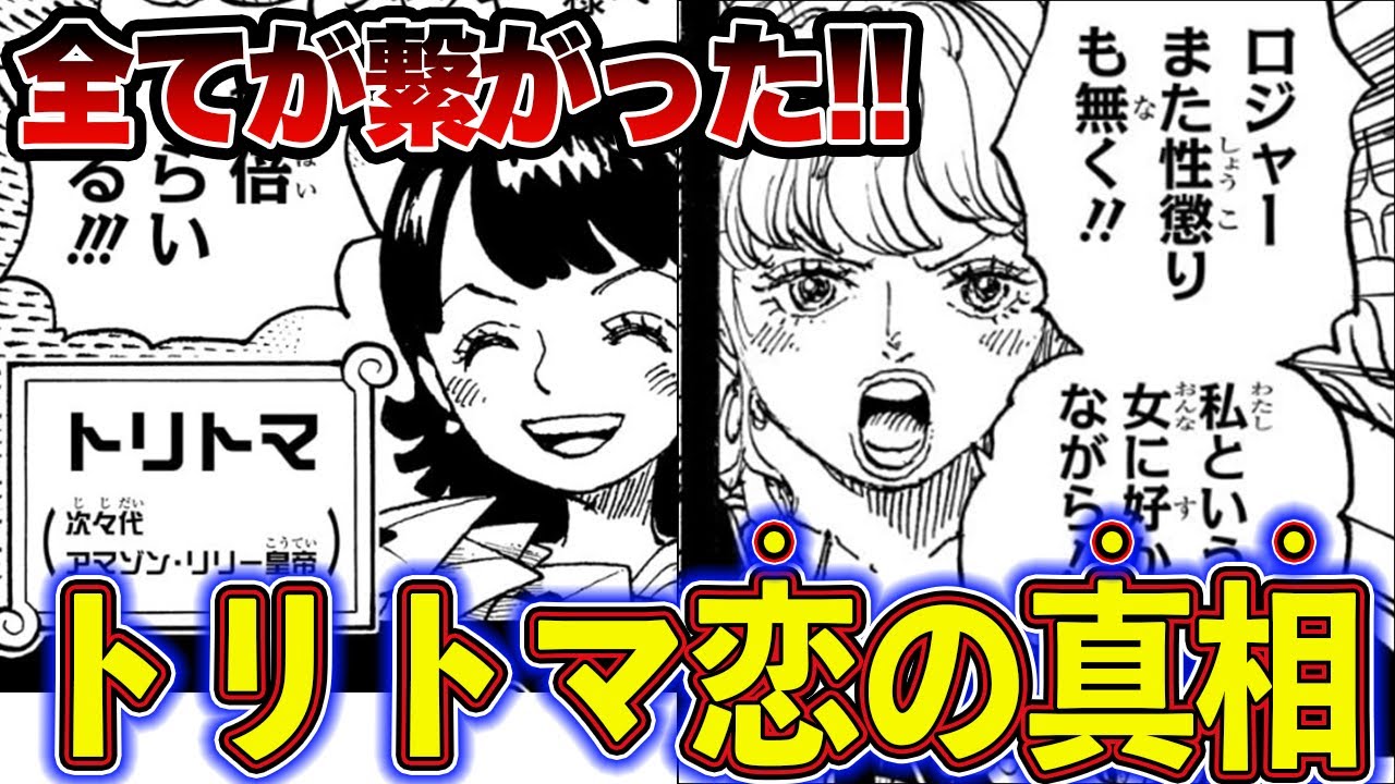 【ワンピース】全てが繋がった！トリトマの恋の相手の真相を徹底解説【ゆっくり解説】
