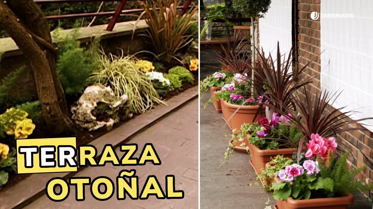 Transformación Otoñal de la terraza: Plantas para decorar este Otoño // Jardinatis