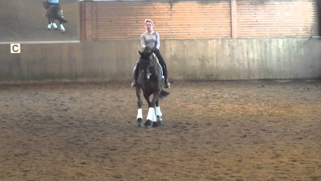 Natalie & Rapid Iron M5