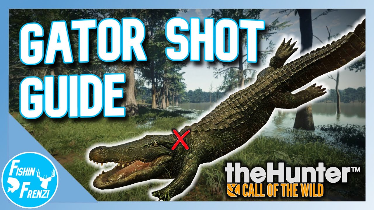Руководство по размещению охотничьих угодий на аллигатора | theHunter - Call of the Wild