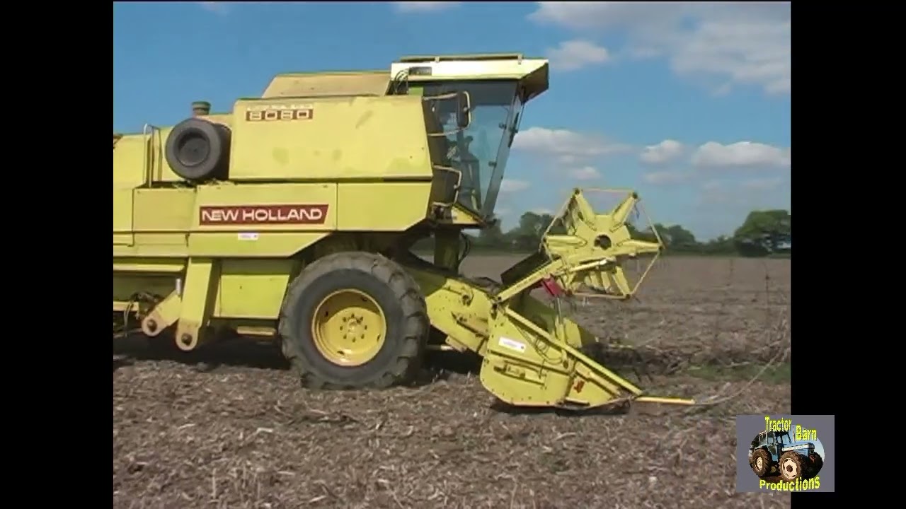 NEW HOLLAND 8080 HARVESTING BEANS