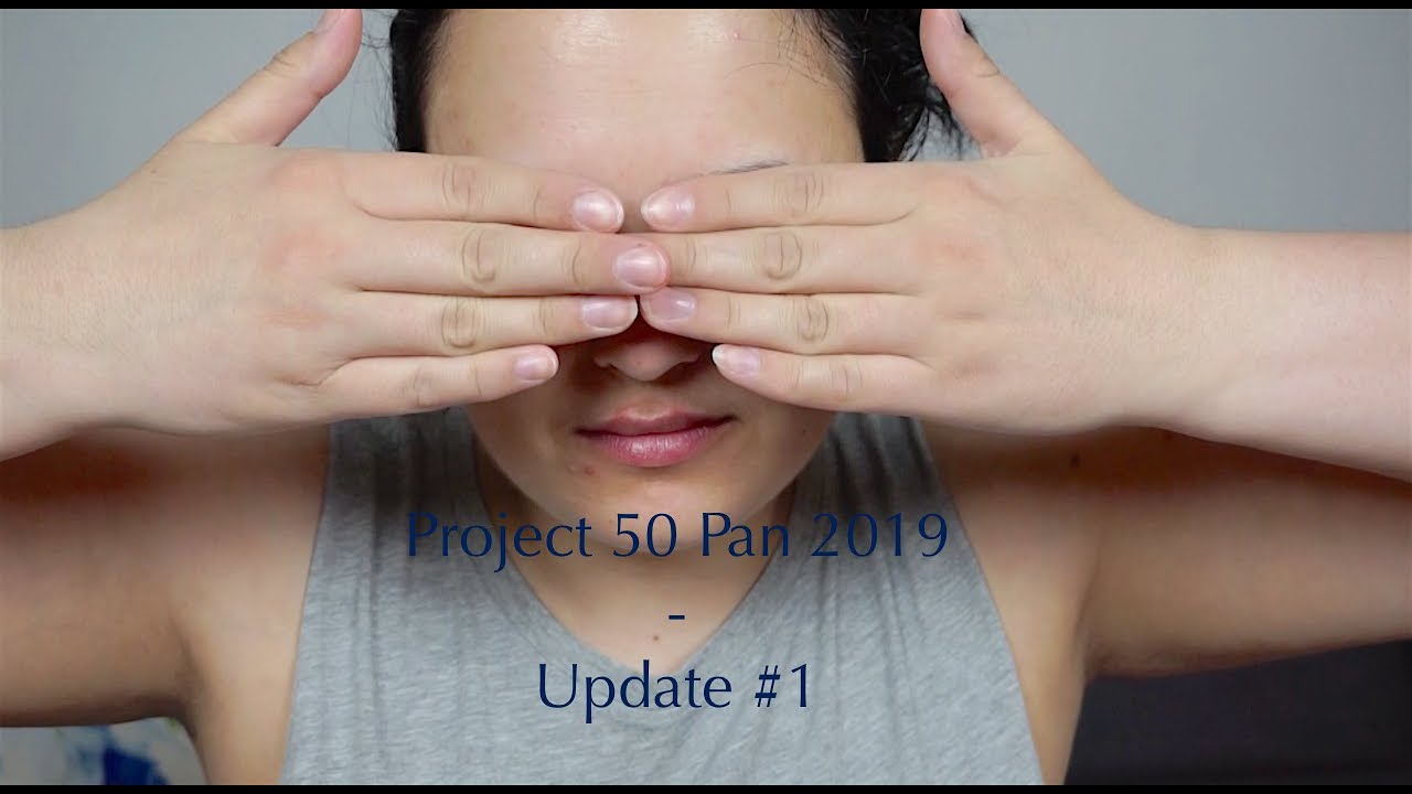 Project 50 Pan 2019 - Update #1