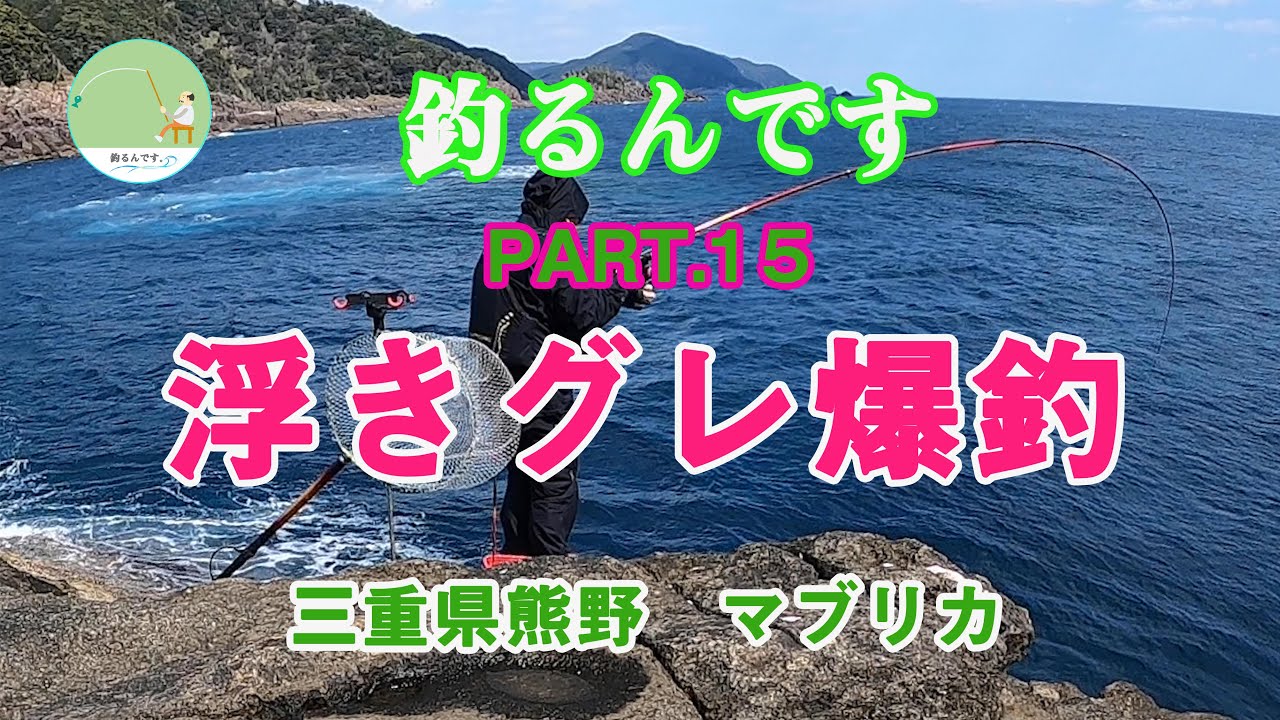 【グレ釣り】釣るんです＃15　浮きグレ爆釣　三重県熊野　マブリカ