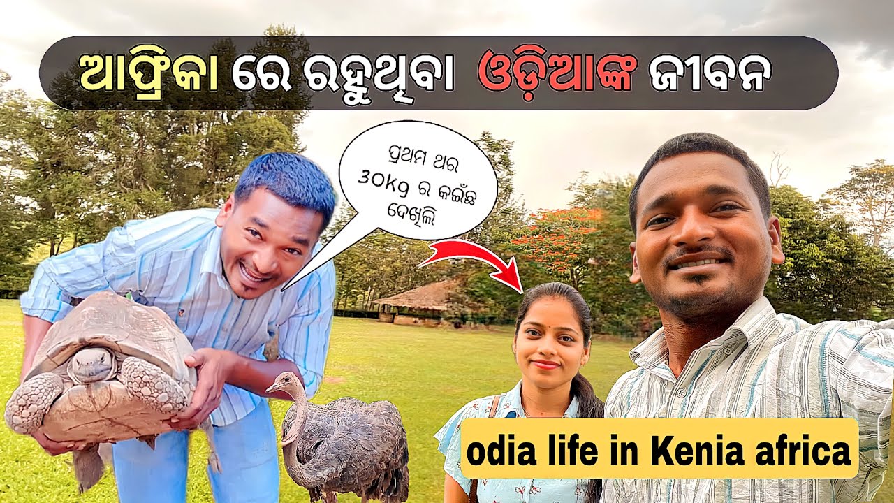 ଆଫ୍ରିକା ରେ ରହୁଥିବା ଓଡିଆ //ODIA LIFE IN AFRICA KENYA 🇰🇪 #mutraveller