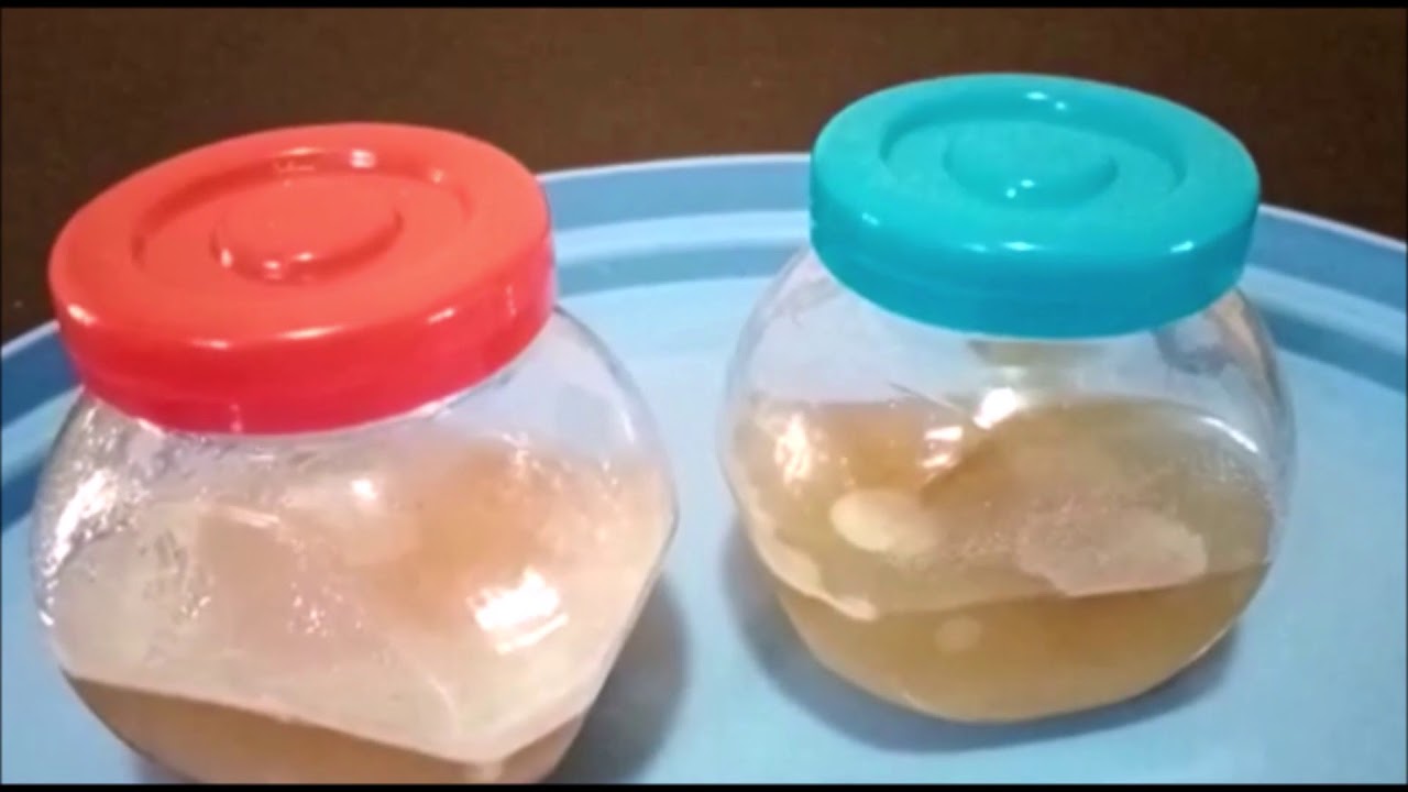 Cultivo y aislamiento casero de levaduras provenientes de la fermentación de masa madre
