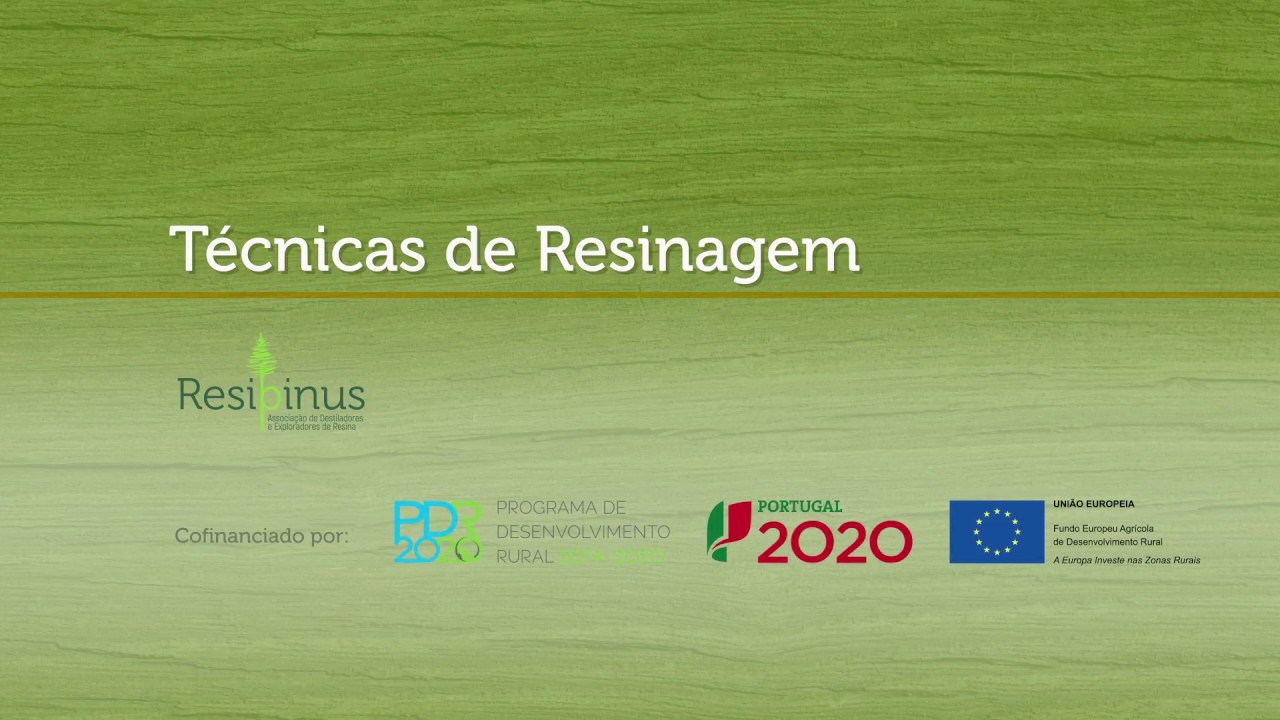 Técnicas de Resinagem