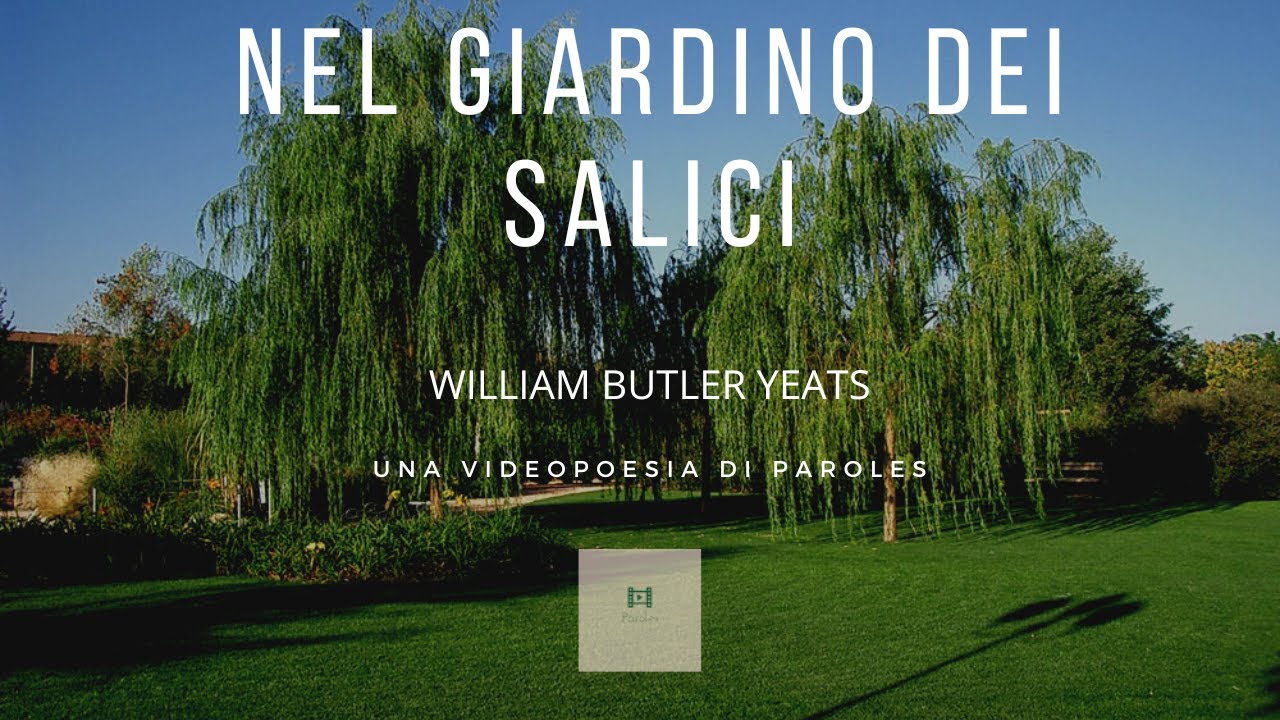 Nel giardino dei Salici - una celebre e malinconica poesia di William Butler Yeats