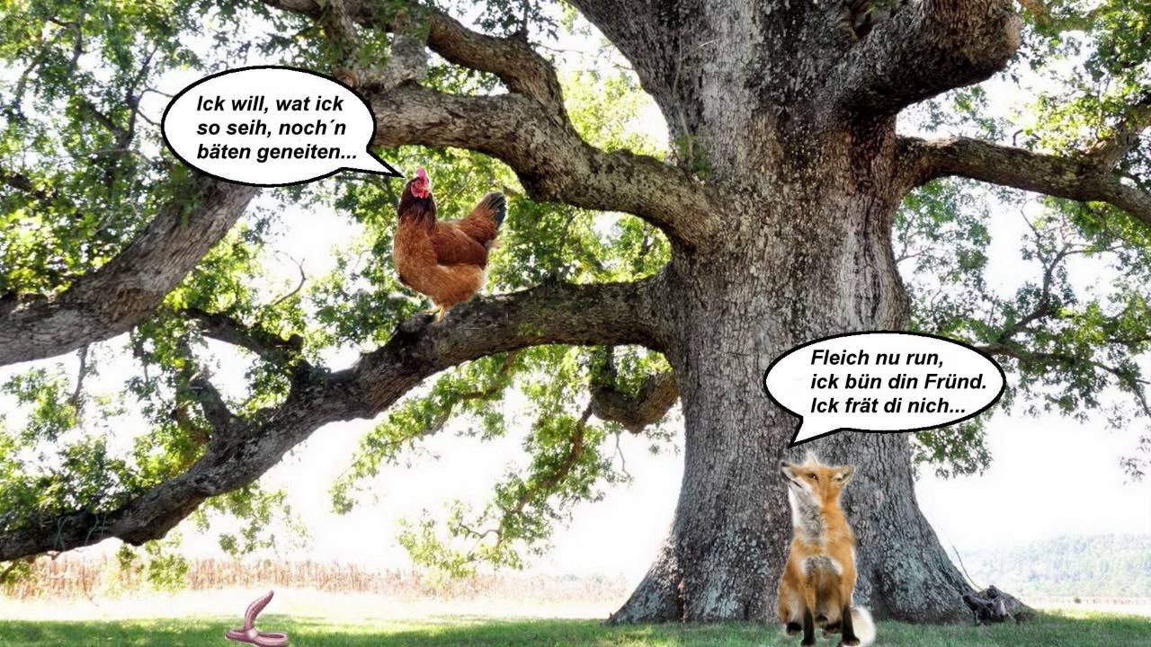08 Dat klauke Hauhn un dei Voss