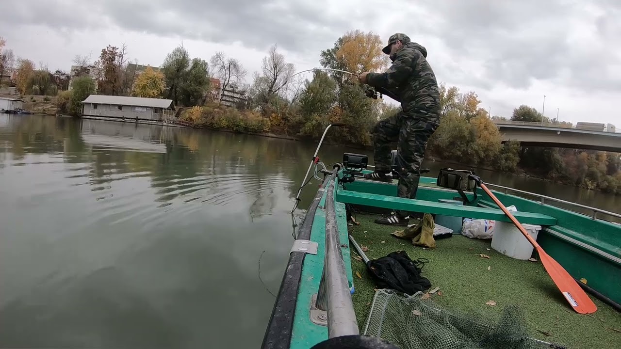 20251026  Harcsa 2m 60kg Szeged Tisza