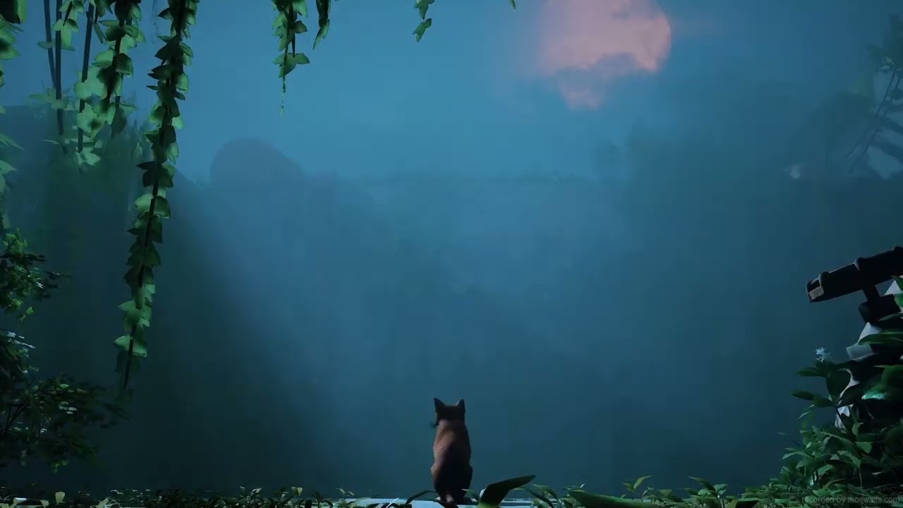 🎶 Lo-Fi Rain 🌧️ Thundestorm Epic Music 💻 to Programming, Coding, Relax and Sleep 🐱