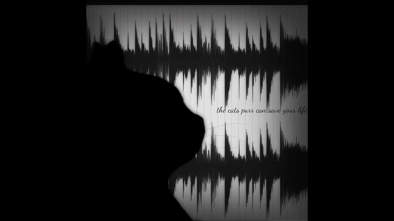 CI0NID - the cats purr can save your life (FULL ALBUM)