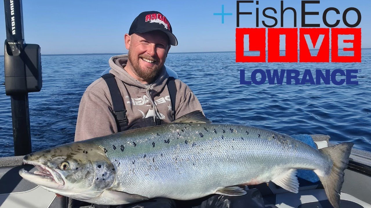 Allt om trollingfiske efter lax på Österjön med Petter Eriksson!