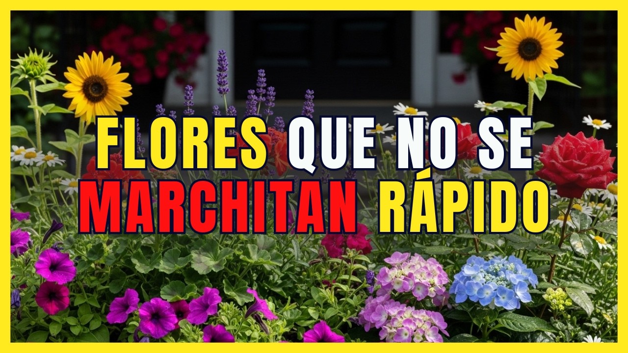 7 Plantas que florecen en PRIMAVERA y duran todo el verano