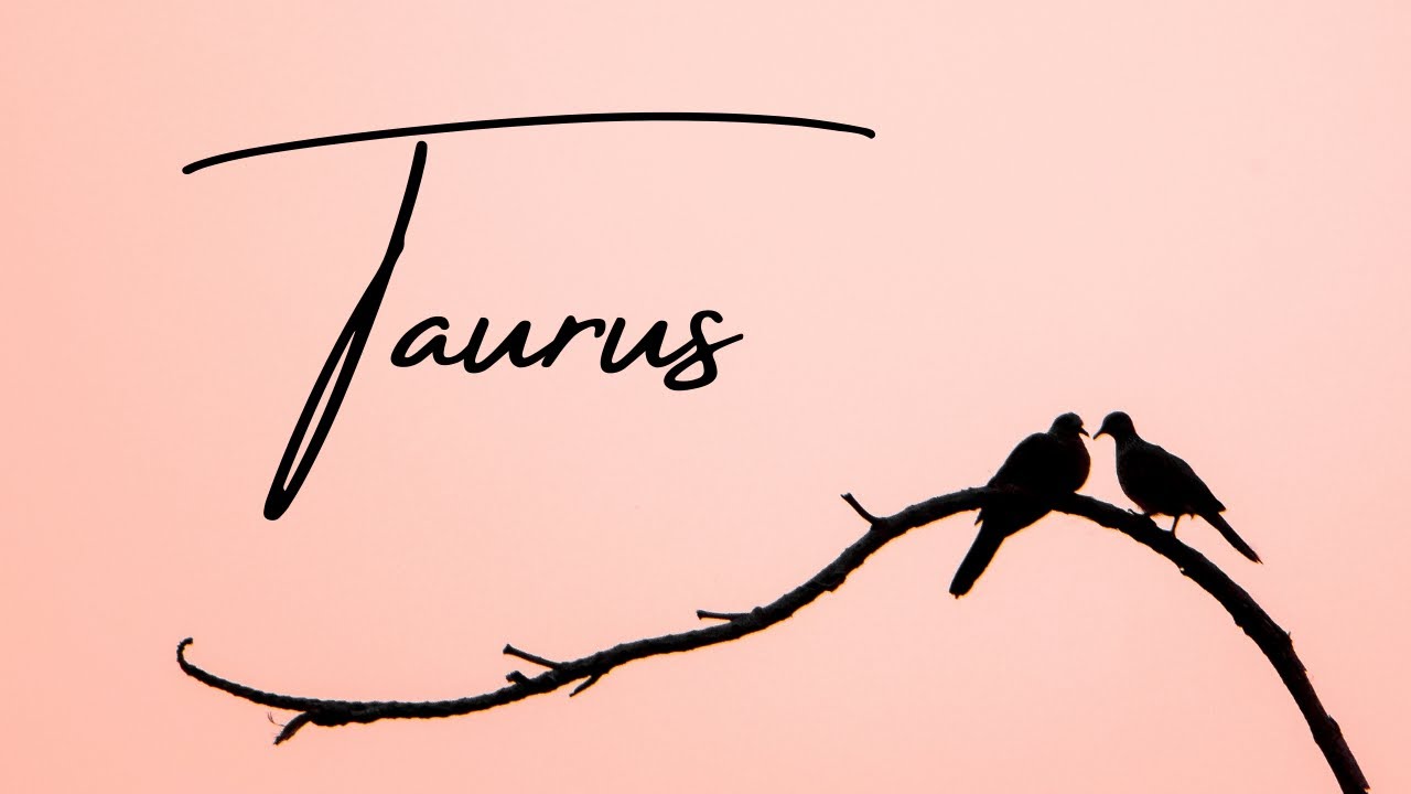 Taurus💖~ Someone's Plan Fails Big Time!! ~ Taurus Love Reading