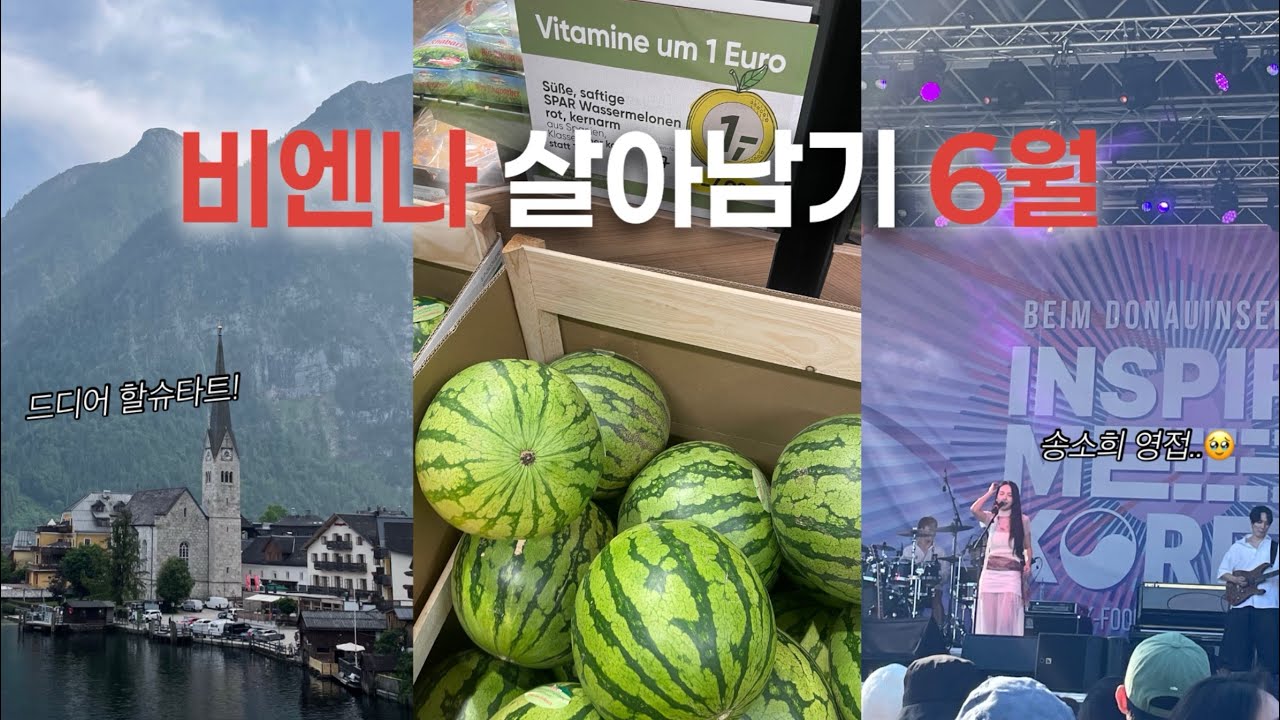 🇦🇹 비엔나 브이로그 6월 | 우박, 케밥맛집, 도서관, 할슈타트, 첸식당, 도나우인젤페스타, 수박, 유럽에서 한식해먹기