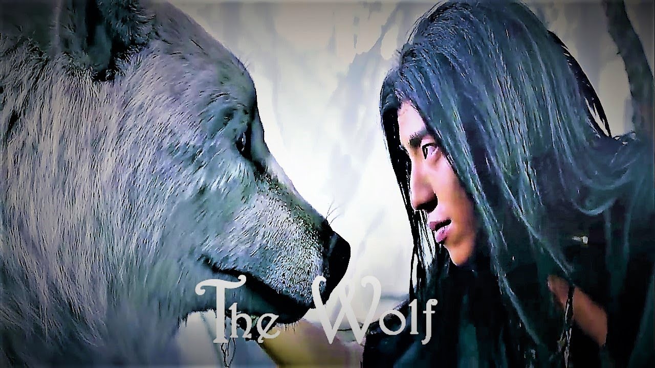[OFFICIAL] The Wolf  狼殿下 || The Majesty Of Wolf || Upcoming Drama Chinese  || Darren Wang & Li Qin