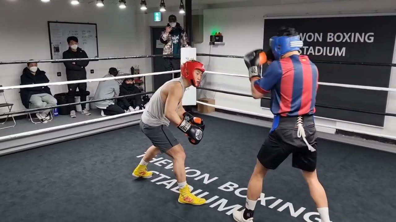 라이트급 챔피언 출신 프로복서와 실업팀 사우스포 선수의 스파링 대결!! #더원프로모션 #boxing #boxer #스파링 #아마복싱 #프로복싱 #선수부