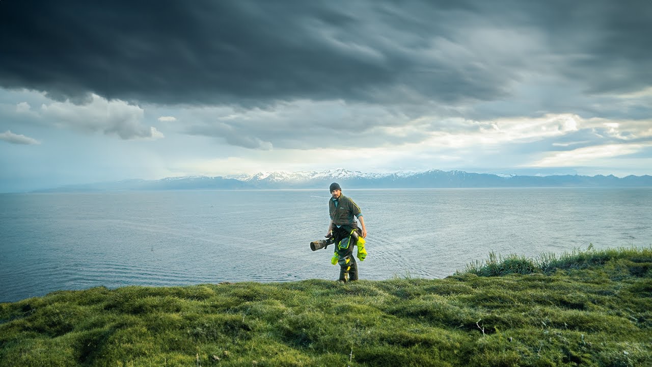 Wildlife Photography on an ABANDONED ISLAND